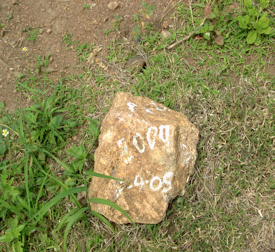 A Stone as a field identifier